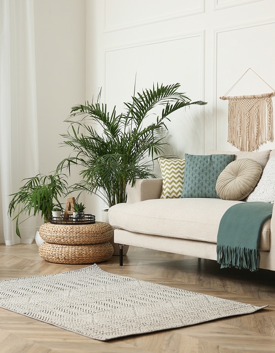 Décoration salon bohème : Canapé et plantes d'intérieur. Salon bohème serein: canapé neutre, coussins verts, jeté sarcelle, plantes d'intérieur luxuriantes. Poufs tressés, tapis gris et macramé mural.