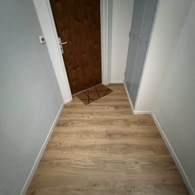 Couloir avec parquet clair, porte en bois sombre, paillasson géométrique et placard gris intégré.